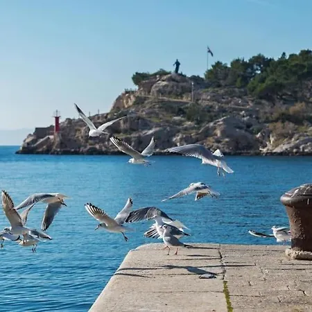 The View Luxury 2+2 In A Strict Center Apartment Makarska